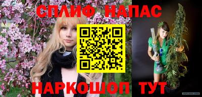 гидропоника Пенза