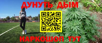 гидропоника Пенза