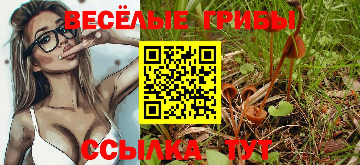 Псилоцибиновые грибы Psilocybine cubensis Советский